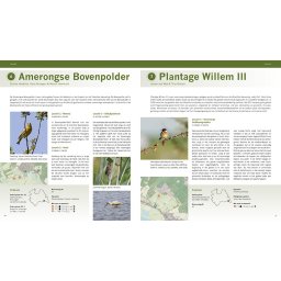 De beste vogelgebieden van Nederland