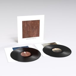 Sandwell District - End Beginnings (2 LP)