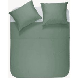 Primaviera DeLuxe Dekbedovertrek Uni Bamboe Groen - Eenpersoons 140 x 200/220 cm + 1 kussensloop