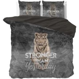 Sleeptime Dekbedovertrek Stronger Grijs - Lits-jumeaux 240 x 200/220 cm + 2 kussenslopen
