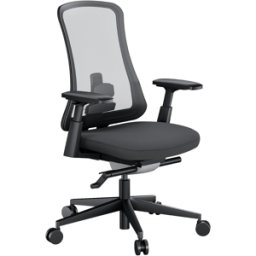 Remodius Flexer Pro Ergonomische Bureaustoel