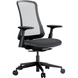 Remodius Flexer ergonomische bureaustoel