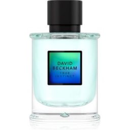 David Beckham True Instinct Eau de Parfum voor Mannen 75 ml