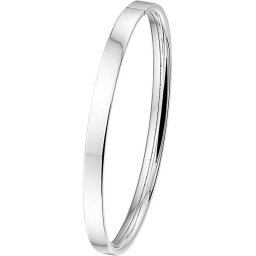 The Jewelry Collection - Bangle Dop Vlakke Buis 5 X 60 mm - Zilver