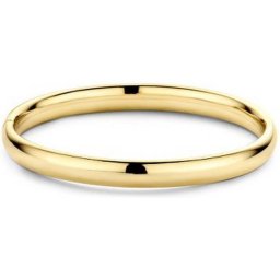 Casa Jewelry Bangle Class M - Goud Verguld