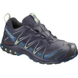 Salomon Xa Pro 3D Gtx Wandelschoenen Dames - Blue - Maat 39 1/3