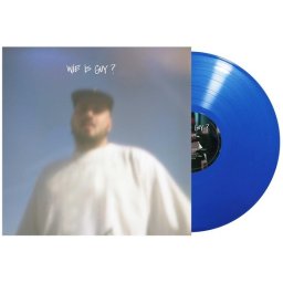 Zwangere Guy - Wie Is Guy? (2 LP) (Coloured Vinyl)