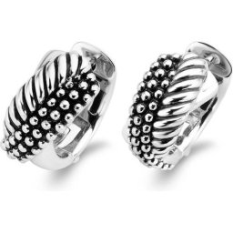 Ti Sento oorringen 7692SB - Zilver