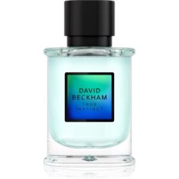 David Beckham True Instinct Eau de Parfum voor Mannen 50 ml