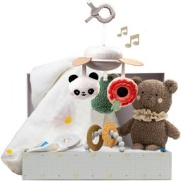 Taf Toys Luxury Newborn Kit Gift Set voor baby’s