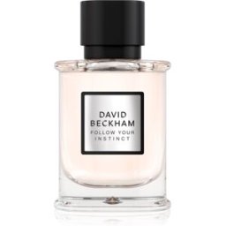 David Beckham Follow Your Instinct Eau de Parfum voor Mannen 50 ml