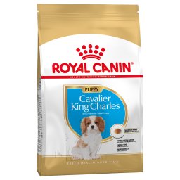 1,5kg Cavalier King Charles Puppy Royal Canin Breed Hondenvoer