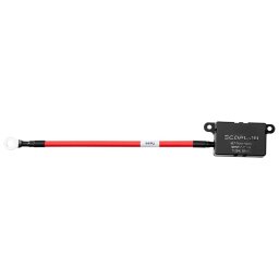 Ecoflow Alternator Charger Fuse Cable Smart home accessoire