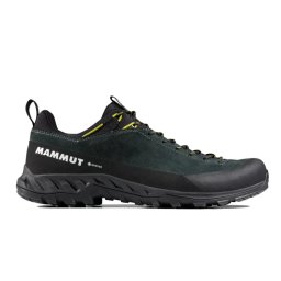 MAMMUT Alnasca IV Low LTH GTX Men gabbro-acacia - Schoenen UK 9