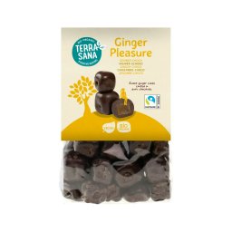 Terrasana Ginger Pleasure Choco Bio