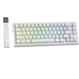 Magnetic Switch Wired Gaming Toetsenbord - 66keys - RGB - Side Printed PBT Keycaps - Decorative Lanyard - 8Khz - 0.01mmRT - 0.125ms - White Contour Line
