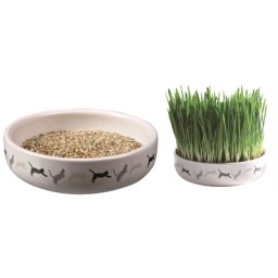 TRIXIE KATTENGRASZAAD 50GR IN KERAMIEK 15X15X4 CM