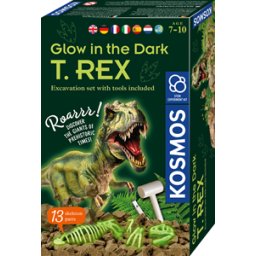 Glow in the Dark T-REX