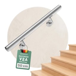Trapleuning RVS 4,2x50cm
