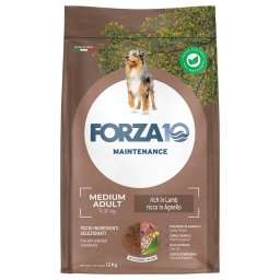 12kg Forza 10 Maintenance Medium Lam & Rijst