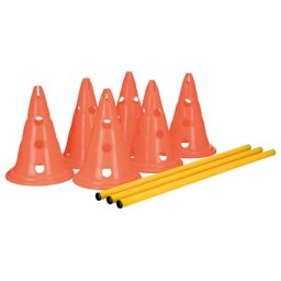 TRIXIE DOG ACTIVITY HORDENSET 2 ST