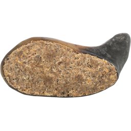 180 g Trixie buffelhoorn gevuld met buffelgeit & pees hondensnacks