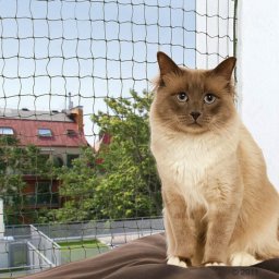 Trixie Olijfkleurig Bijtsterk Kattennet - 2 x 1,5 m