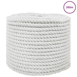 vidaXL Katoenen Touw 10 mm 250 m Wit 100% Katoen