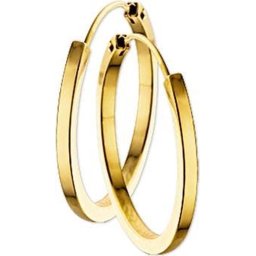The Jewelry Collection - Vierkante buis - Dames - Oorringen