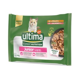 Ultima Cat Expert Nutrition Junior Kip & Zalm - Voordeelpakket: 44 x 70 g