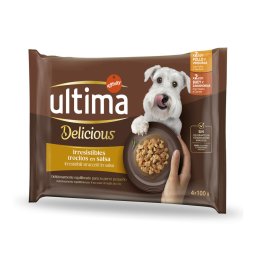 44x 100g Ultima Fit & Delicious Mini Dog Volwassen Kip & Rund hondenvoer nat