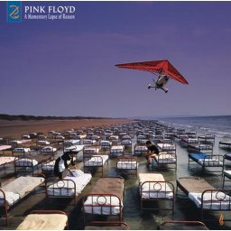 Pink Floyd - A Momentary Lapse of Reason LP