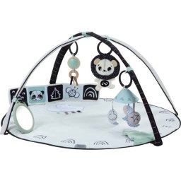 Tiny Love Classic Gymini - 2-in-1 Black & White Décor - Vanaf de geboorte