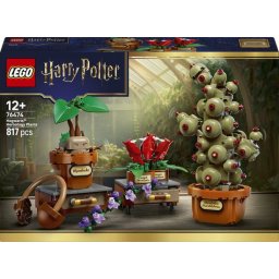 LEGO Harry Potter Zweinstein Kruidenkunde Planten Bouwbaar Speelgoed voor Kinderen 76474