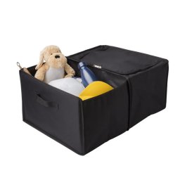 Auto Organizer