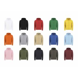 Hoodie Vest