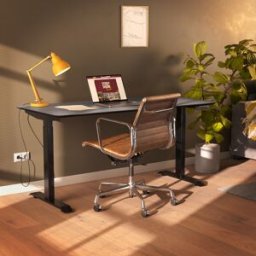 LUMZ Fenix blad zit sta bureau