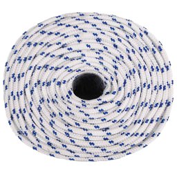 vidaXL Multifunctioneel gebruikstouw 10 mm 25 m Wit en Blauw PP