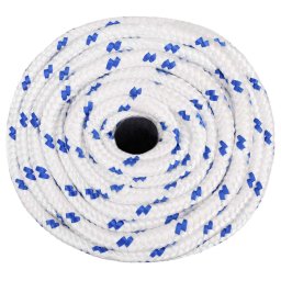 vidaXL Multifunctioneel gebruikstouw 16 mm 100 m Wit en Blauw PP