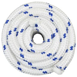 vidaXL Multifunctioneel gebruikstouw 30 mm 25 m Wit en Blauw PP