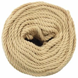 vidaXL Multifunctioneel gebruikstouw 3 mm 25 m Naturel PP