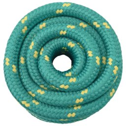 vidaXL Multifunctioneel gebruikstouw 50 mm 5 m Groen PP
