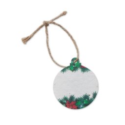 Kerstster Zaadpapier