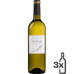 (Organic) Domaine Brana Irouléguy Blanc