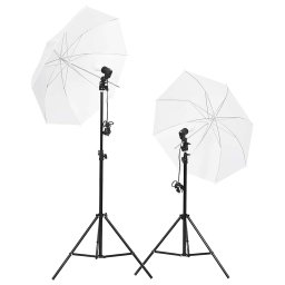 vidaXL Fotostudioset met verlichtingsset en achtergrond