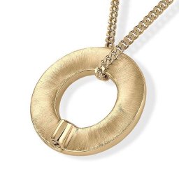 Gouden Ringvormige Ashanger