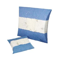 Mini Biologisch Afbreekbare Eco Urn Blauw (1 liter)