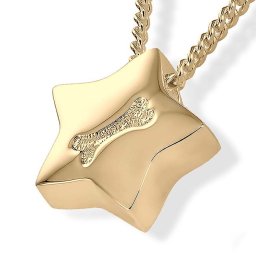 Gouden Assieraad Ster met Botje