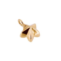 Gouden Ashanger Sterretje