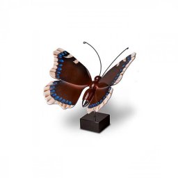 Kleine Houten Asvlinder Koningsmantel (0.003 liter)